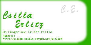 csilla erlitz business card
